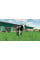 Игры PlayStation 4: Farming Simulator 22 от Giants Software в магазине GameBuy, номер фото: 5