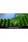 Ігри Nintendo Switch: Pokemon Shining Pearl від Nintendo у магазині GameBuy, номер фото: 1