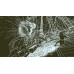 Игры Nintendo Switch: Return of the Obra Dinn от Limited Run Games в магазине GameBuy, номер фото: 1