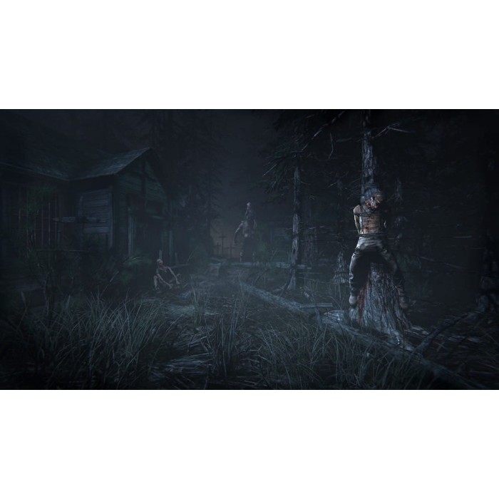 Игры PlayStation 4: Outlast Trinity от Warner Bros. Interactive Entertainment в магазине GameBuy, номер фото: 5