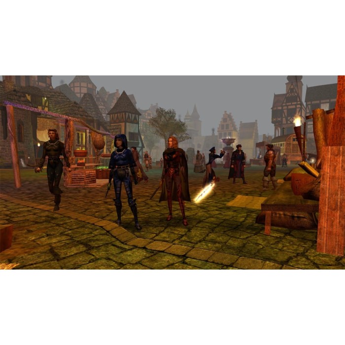 Игры PlayStation 4: Neverwinter Nights: Enhanced Edition от Skybound Games в магазине GameBuy, номер фото: 6