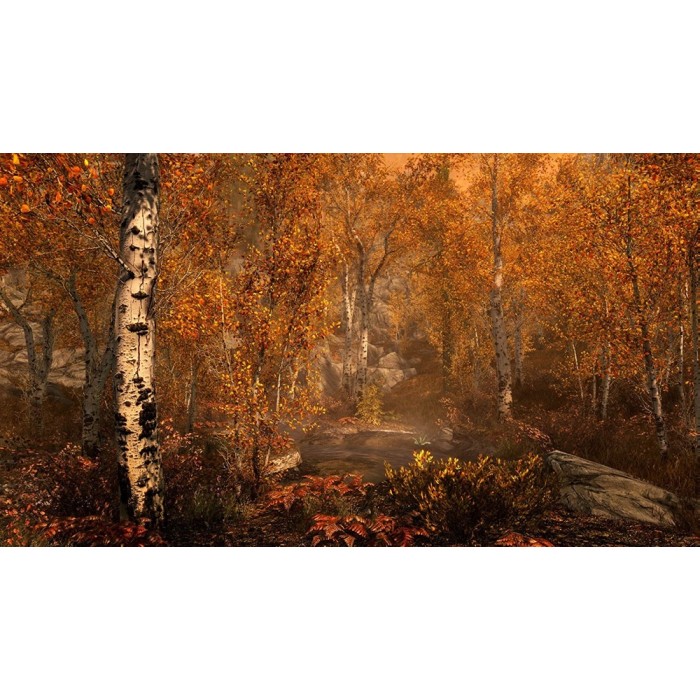 Игры PlayStation 4: Elder Scrolls V: Skyrim Special Edition + Steelbook от Bethesda Softworks в магазине GameBuy, номер фото: 3