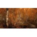 Игры PlayStation 4: Elder Scrolls V: Skyrim Special Edition + Steelbook от Bethesda Softworks в магазине GameBuy, номер фото: 3