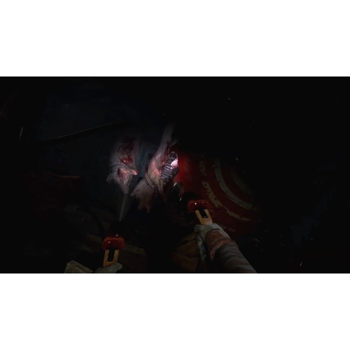 Игры PlayStation 4: Until Dawn Rush of Blood VR от Sony Interactive Entertainment в магазине GameBuy, номер фото: 3