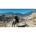 Игры PlayStation 4: Metal Gear V: The Definitive Experience от Konami в магазине GameBuy, номер фото: 7