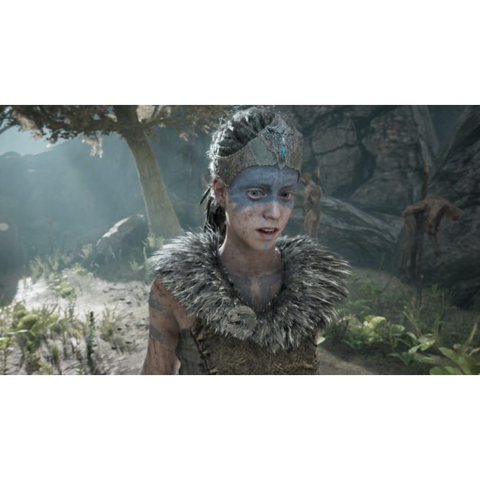 Игры PlayStation 4: Hellblade Senua's Sacrifice от Ninja Theory в магазине GameBuy, номер фото: 5