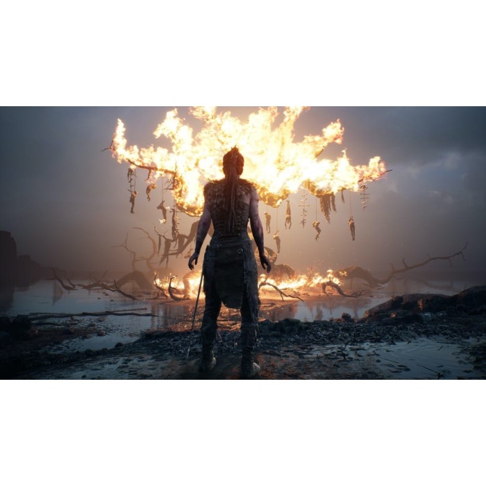 Игры PlayStation 4: Hellblade Senua's Sacrifice от Ninja Theory в магазине GameBuy, номер фото: 6