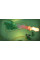 Ігри PlayStation 4: DreamWorks Dragons: Dawn of New Riders [Как приручить дракона 3] від Outright Games у магазині GameBuy, номер фото: 2