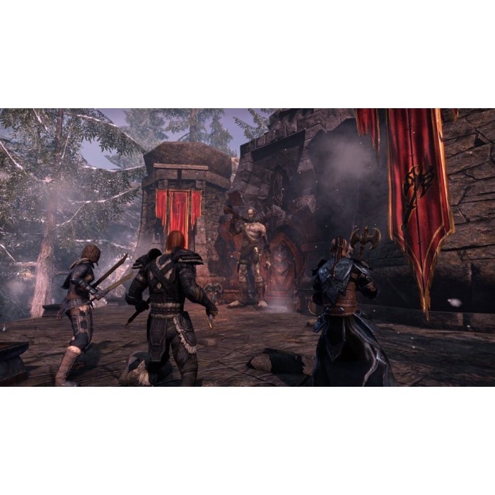 Игры PlayStation 4: The Elder Scrolls Online: Tamriel Unlimited от Bethesda Softworks в магазине GameBuy, номер фото: 1