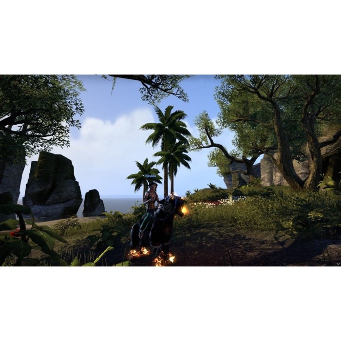 Игры PlayStation 4: The Elder Scrolls Online: Tamriel Unlimited от Bethesda Softworks в магазине GameBuy, номер фото: 3