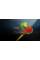 Игры PlayStation 4: Fruit Ninja VR от Perp Games в магазине GameBuy, номер фото: 3