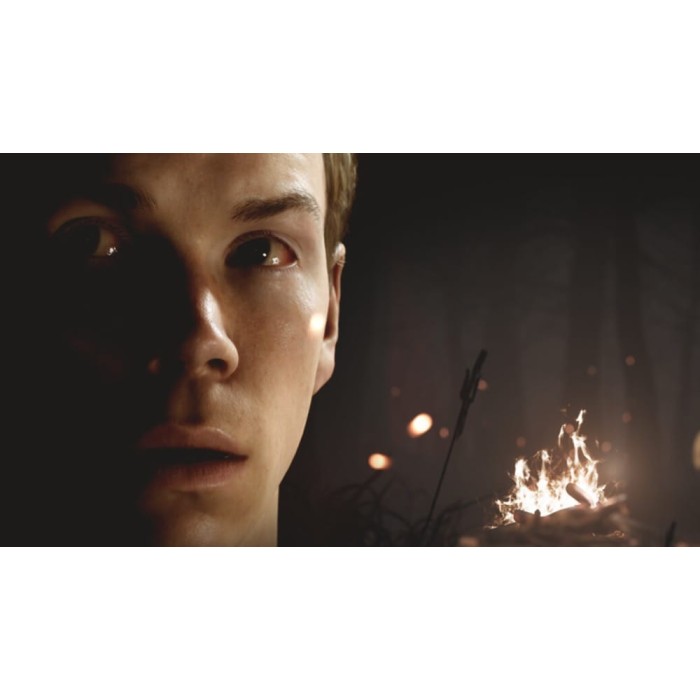 Ігри PlayStation 4: The Dark Pictures Anthology: Little Hope від Bandai Namco Entertainment у магазині GameBuy, номер фото: 6