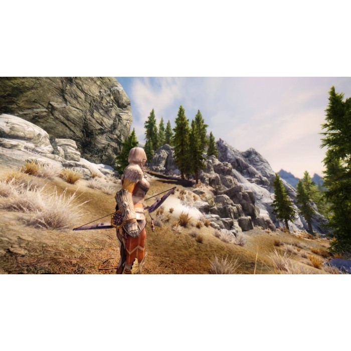 Ігри PlayStation 4: The Elder Scrolls V: Skyrim - Special Edition від Bethesda Softworks у магазині GameBuy, номер фото: 1