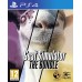Игры PlayStation 4: Goat Simulator: The Bundle от Double Eleven в магазине GameBuy