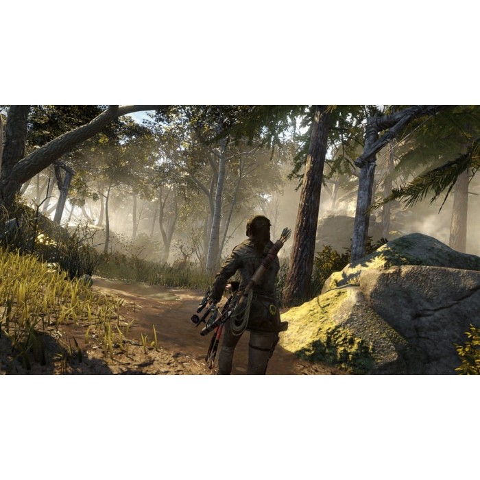 Игры PlayStation 4: Rise of the Tomb Raider [20-ти летний юбилей] VR от Square Enix в магазине GameBuy, номер фото: 3