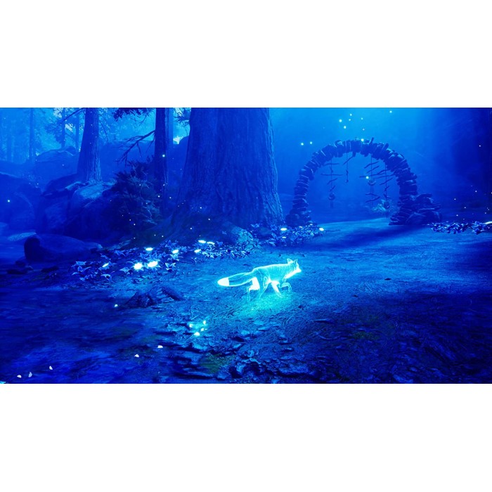 Игры PlayStation 4: Spirit of the North от Merge Games в магазине GameBuy, номер фото: 5