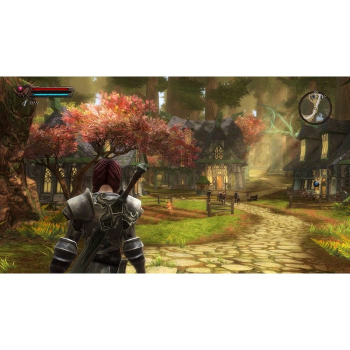 Игры PlayStation 4: Kingdoms of Amalur Re-Reckoning от THQ Nordic в магазине GameBuy, номер фото: 5