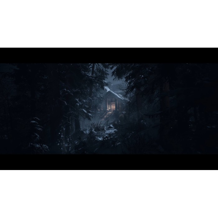 Игры PlayStation 5: Until Dawn от Sony Interactive Entertainment в магазине GameBuy, номер фото: 1