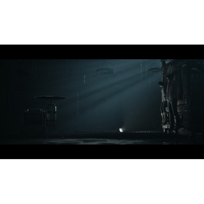 Игры PlayStation 5: Until Dawn от Sony Interactive Entertainment в магазине GameBuy, номер фото: 12