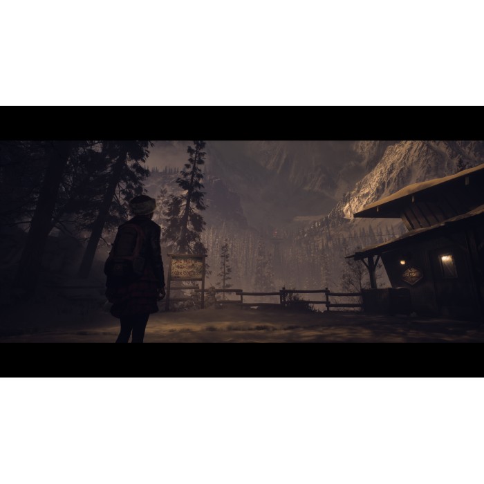 Игры PlayStation 5: Until Dawn от Sony Interactive Entertainment в магазине GameBuy, номер фото: 13
