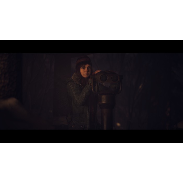 Игры PlayStation 5: Until Dawn от Sony Interactive Entertainment в магазине GameBuy, номер фото: 6