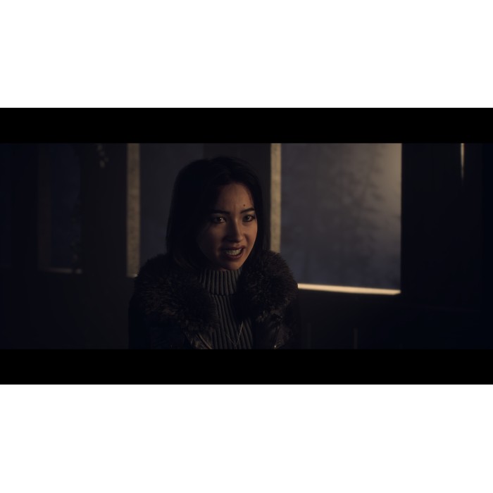 Игры PlayStation 5: Until Dawn от Sony Interactive Entertainment в магазине GameBuy, номер фото: 7