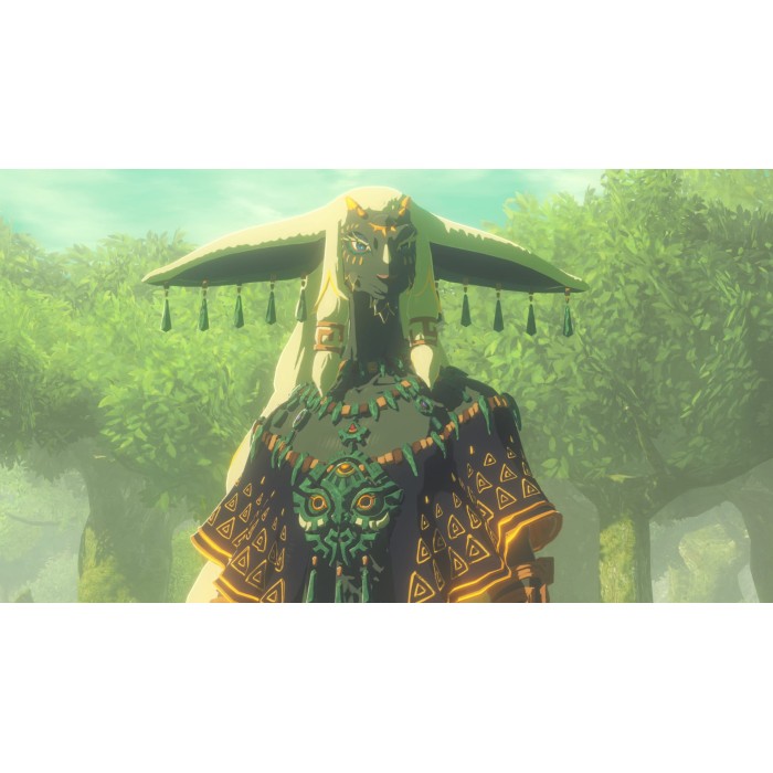 Ігри Nintendo Switch 2: Hyrule Warriors: Age of Imprisonment від Nintendo у магазині GameBuy, номер фото: 19