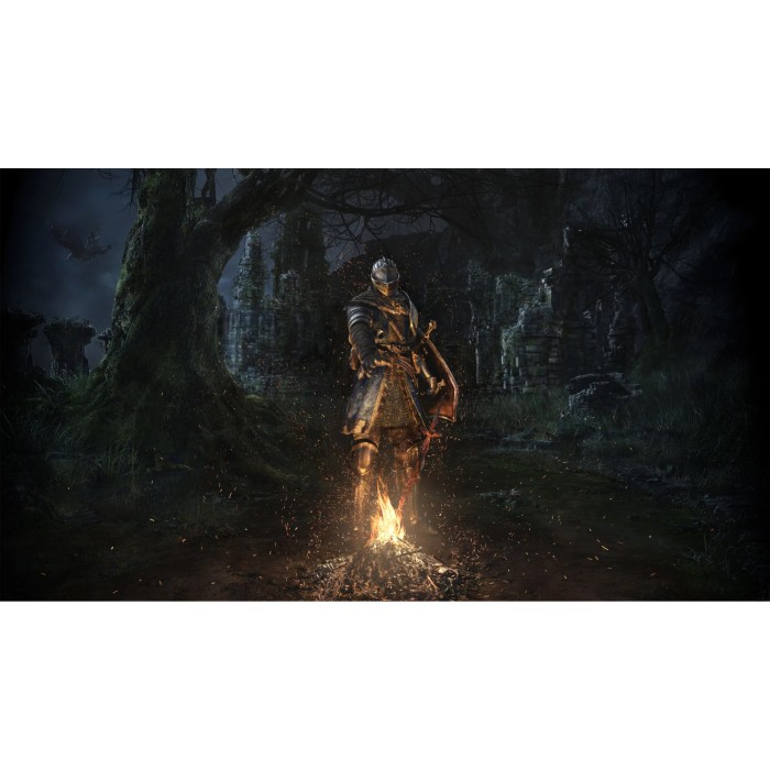 Игры Nintendo Switch: Dark Souls: Remastered от Bandai Namco Entertainment в магазине GameBuy, номер фото: 12