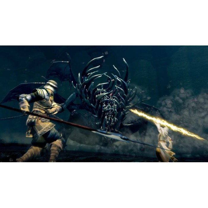 Игры Nintendo Switch: Dark Souls: Remastered от Bandai Namco Entertainment в магазине GameBuy, номер фото: 5