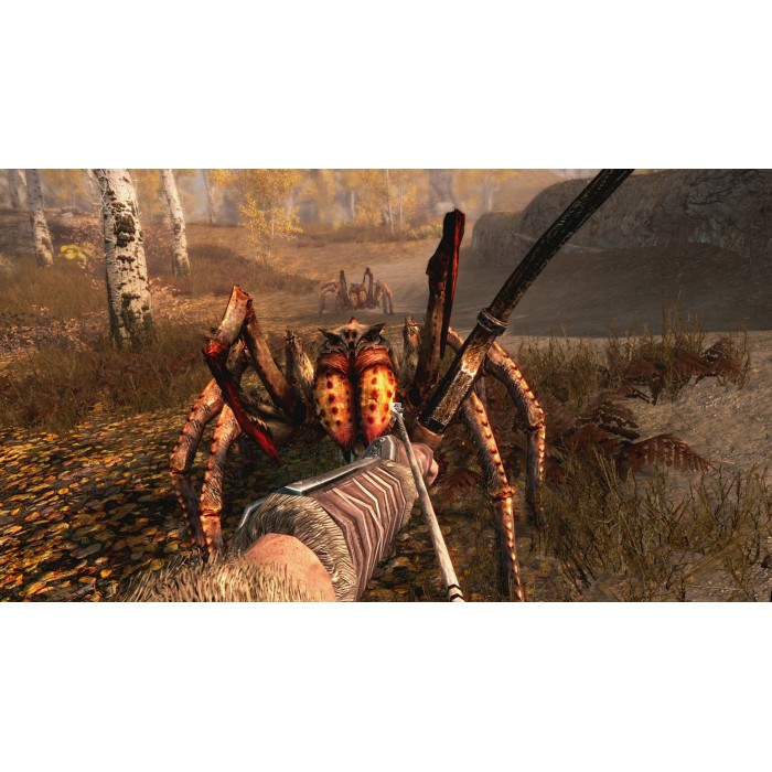 Ігри Nintendo Switch: The Elder Scrolls V Skyrim від Nintendo у магазині GameBuy, номер фото: 6