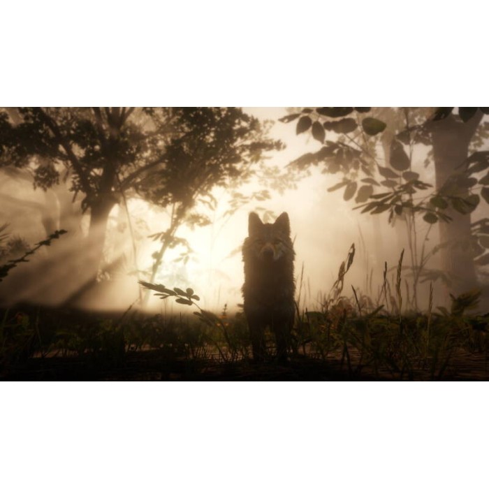 Игры Xbox One: Red Dead Redemption 2 от Rockstar Games в магазине GameBuy, номер фото: 12