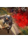 Ігри PlayStation 5: Assassin's Creed Mirage: Launch Edition від Ubisoft у магазині GameBuy, номер фото: 4