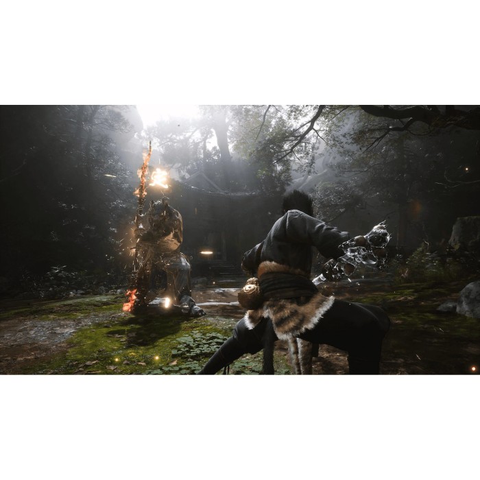 Игры PlayStation 5: Black Myth: Wukong от PM Studios в магазине GameBuy, номер фото: 8