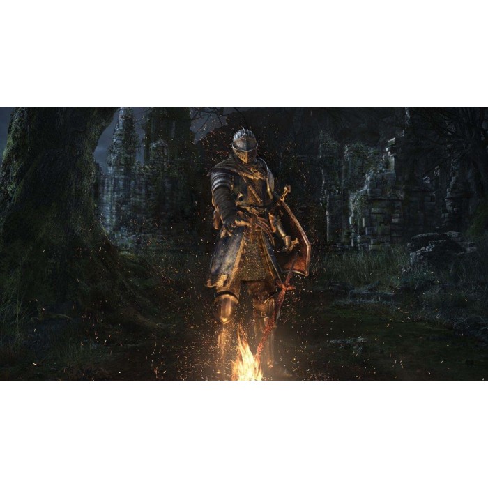 Ігри PlayStation 4: Dark Souls Trilogy від Bandai Namco Entertainment у магазині GameBuy, номер фото: 3