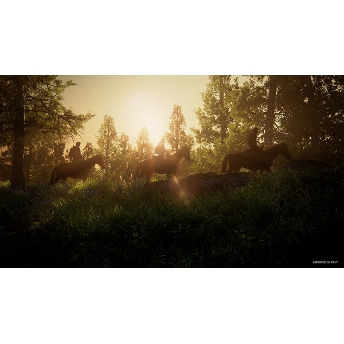 Игры PlayStation 5: The Last Of Us Part I от Sony Interactive Entertainment в магазине GameBuy, номер фото: 8