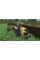 Игры PlayStation 4: Farming Simulator 17: Ambassador Edition от Giants Software в магазине GameBuy, номер фото: 1