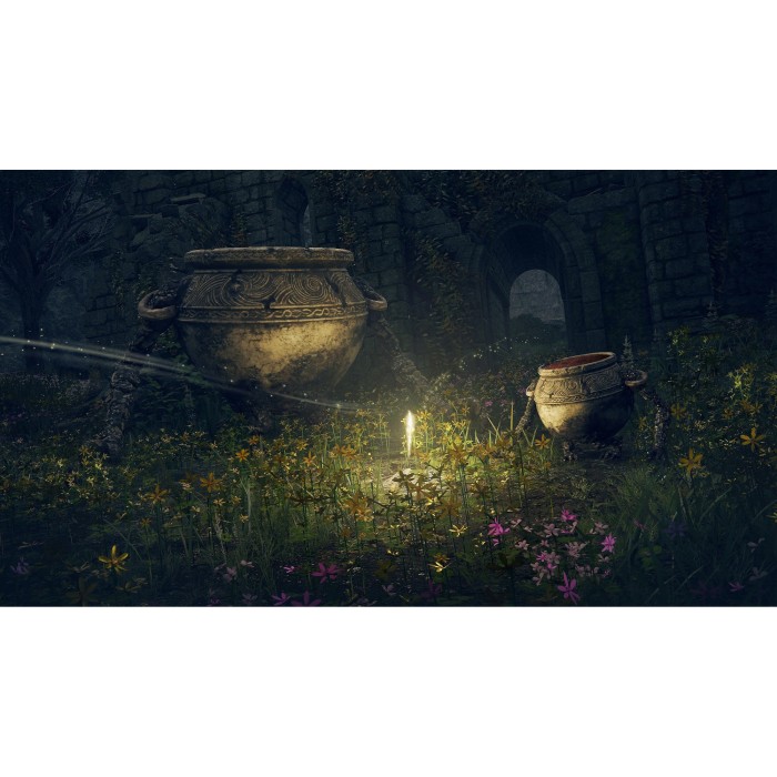 Ігри PlayStation 4: Elden Ring від Bandai Namco Entertainment у магазині GameBuy, номер фото: 12