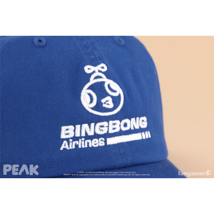 Аксесуари: Кепка PEAK (BINGBONG Airlines Hat) від Fangamer у магазині GameBuy, номер фото: 2