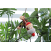 Мягкие и Плюшевые Игрушки: Плюшевая мягкая игрушка Ape Escape (Pipo Monkey Plush) от Fangamer в магазине GameBuy, номер фото: 4