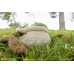 М'які та Плюшеві Іграшки: Плюшева м'яка іграшка Elden Ring (Alexander, Warrior Jar Plush) від Fangamer у магазині GameBuy, номер фото: 5