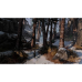 Ігри PlayStation 4: The Last of Us від Sony Interactive Entertainment у магазині GameBuy, номер фото: 3