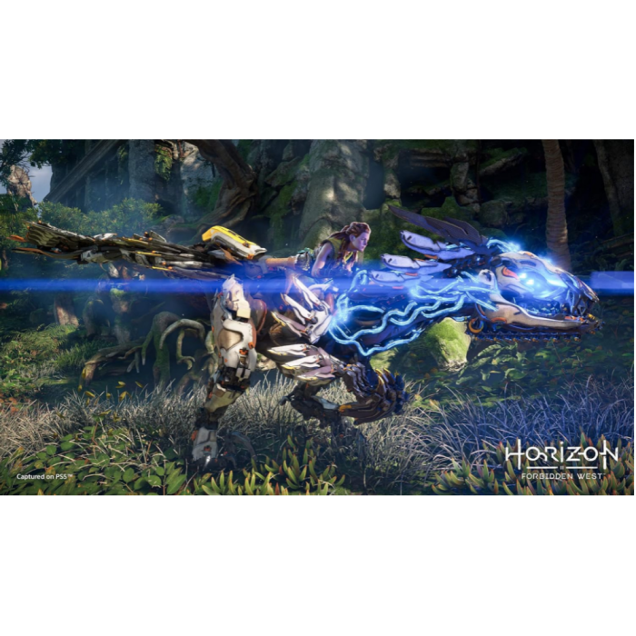 Ігри PlayStation 4: Horizon Forbidden West від Sony Interactive Entertainment у магазині GameBuy, номер фото: 2