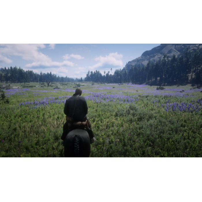 Игры PlayStation 4: Red Dead Redemption 2 от Rockstar Games в магазине GameBuy, номер фото: 4