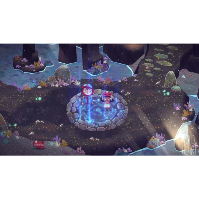 Игры PlayStation 4: The Wild at Heart от Humble Games в магазине GameBuy, номер фото: 1