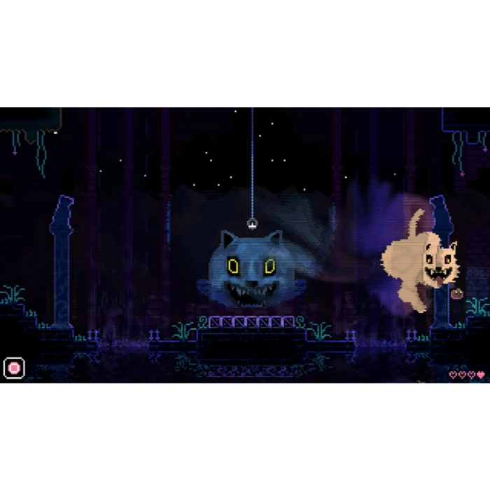 Ігри PlayStation 5: Animal Well від Limited Run Games у магазині GameBuy, номер фото: 1