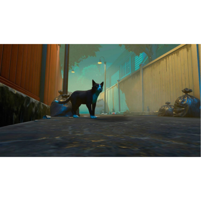 Игры PlayStation 5: Copycat от Tesura Games в магазине GameBuy, номер фото: 2