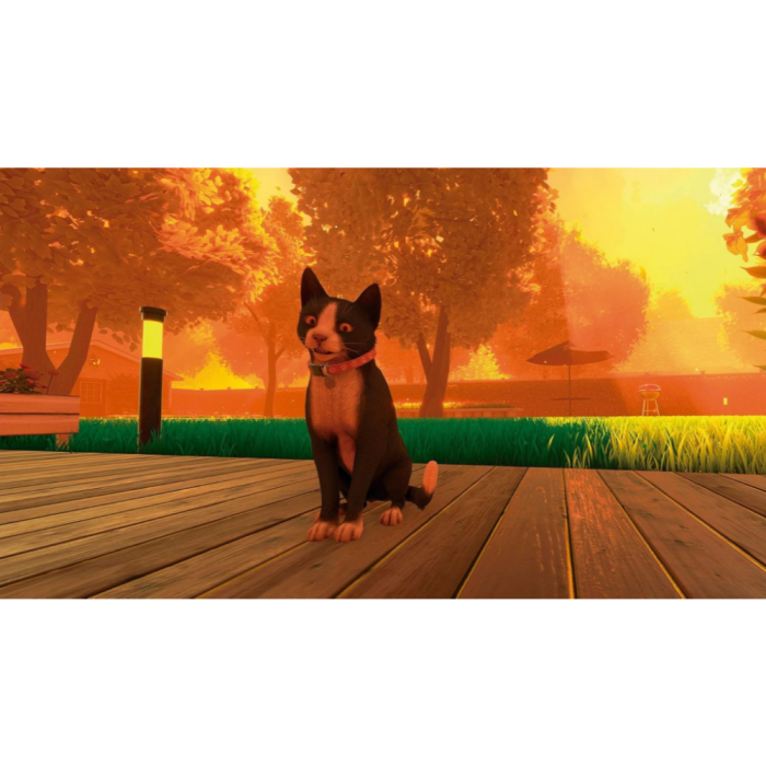 Игры PlayStation 5: Copycat от Tesura Games в магазине GameBuy, номер фото: 3