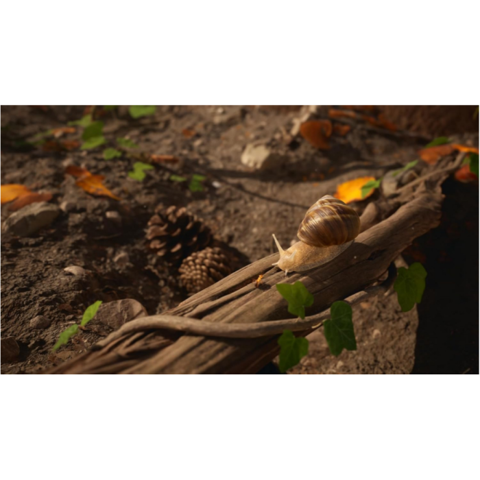 Игры PlayStation 5: Empire of the Ants Limited Edition от Microids в магазине GameBuy, номер фото: 5