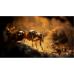 Игры PlayStation 5: Empire of the Ants Limited Edition от Microids в магазине GameBuy, номер фото: 1