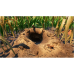Ігри PlayStation 5: Grounded від Limited Run Games у магазині GameBuy, номер фото: 11